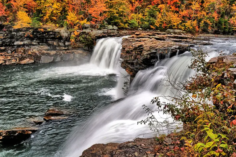 Immerse yourself in nature at the Huntsville Botanical Garden – Alabama