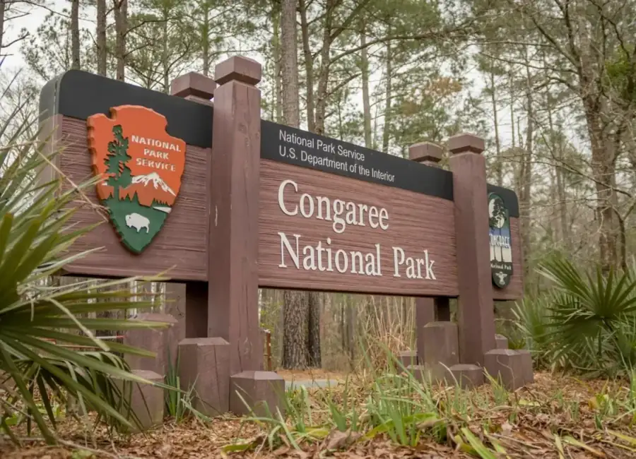 SOUTH CAROLINA ACTIVITIES
