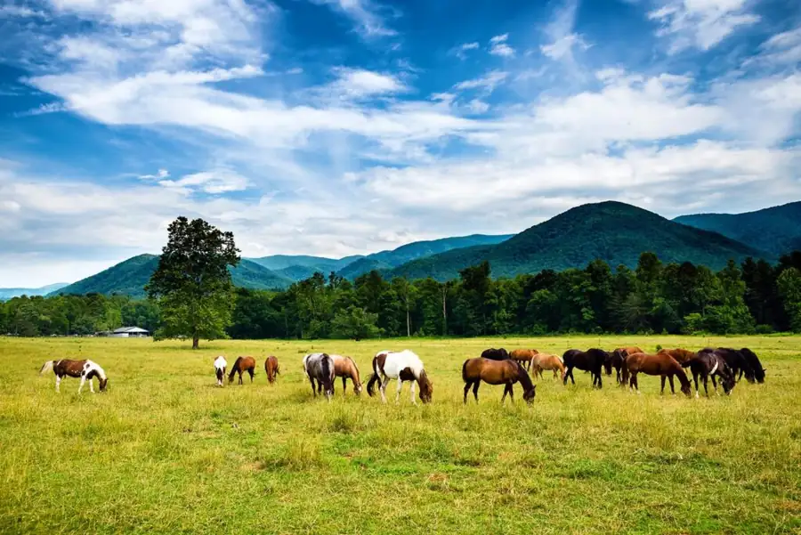 Gatlinburg SkyLift Park – Tennessee