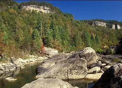 Roan Mountain State Park – Tennessee