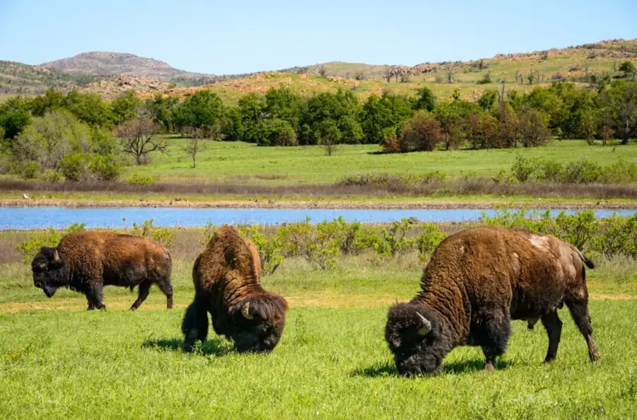 Boot Hill Museum – Kansas