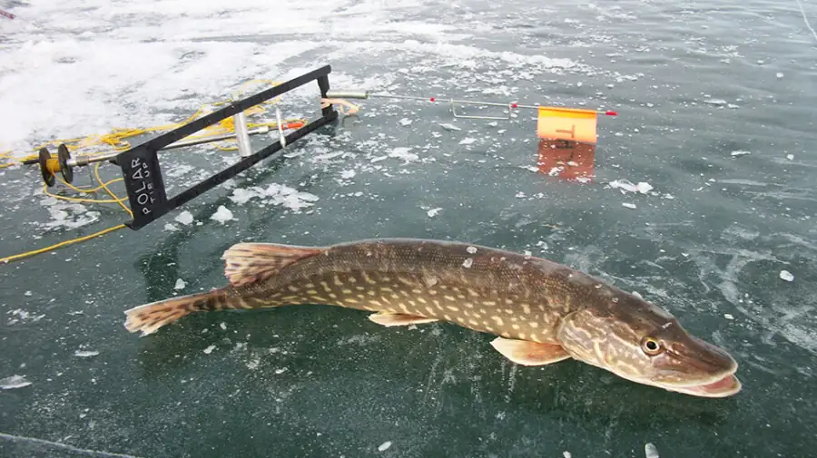 Ice Fishing on Frozen Lakes – Alaska