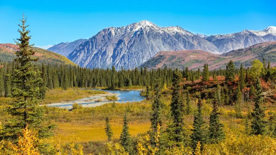 Denali National Park Hikes – Alaska