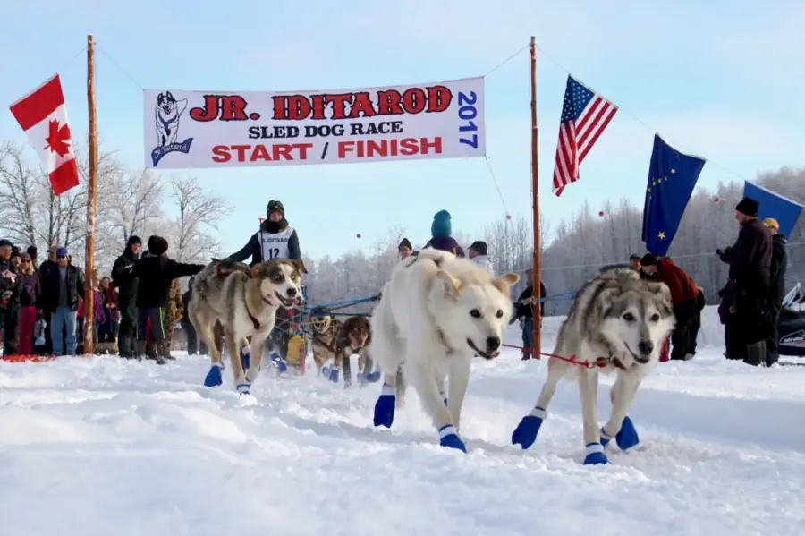 Witnessing the Iditarod – Alaska