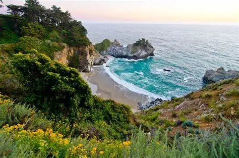 CALIFORNIA ACTIVITIES