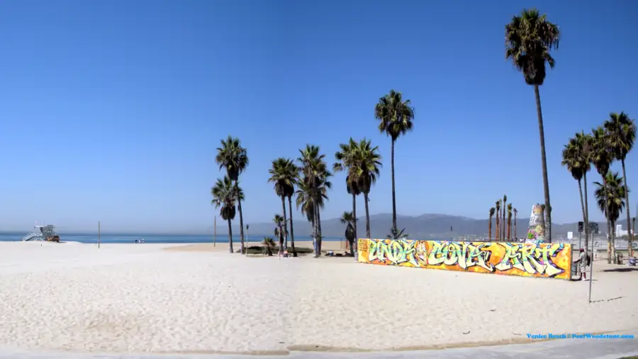 CALIFORNIA ACTIVITIES