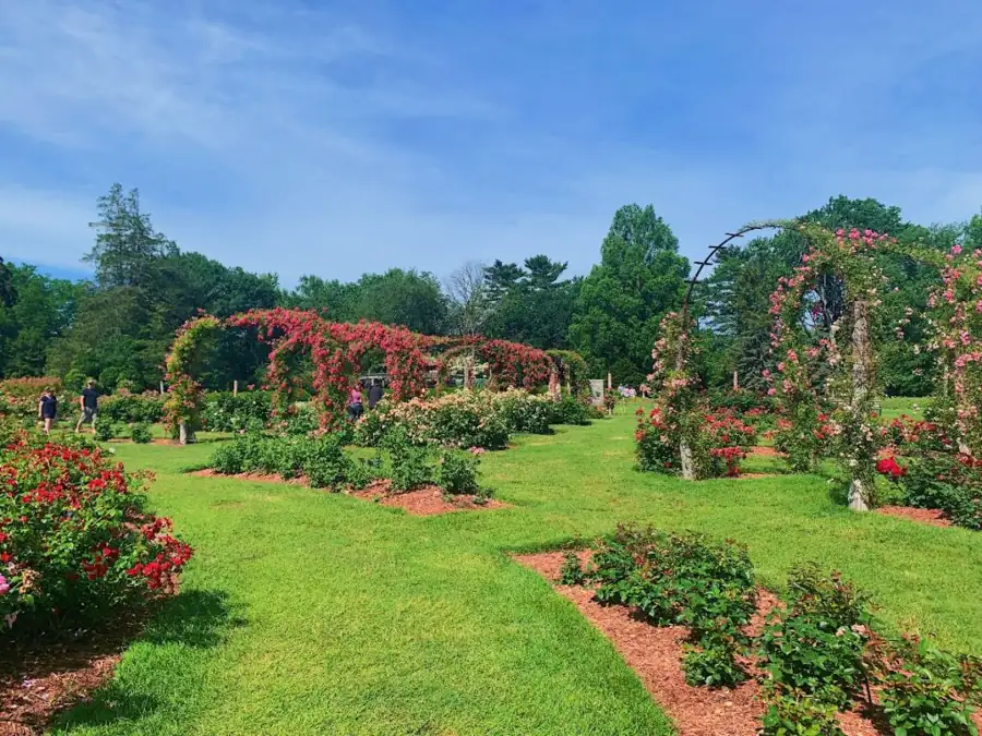 Activities in Connecticut