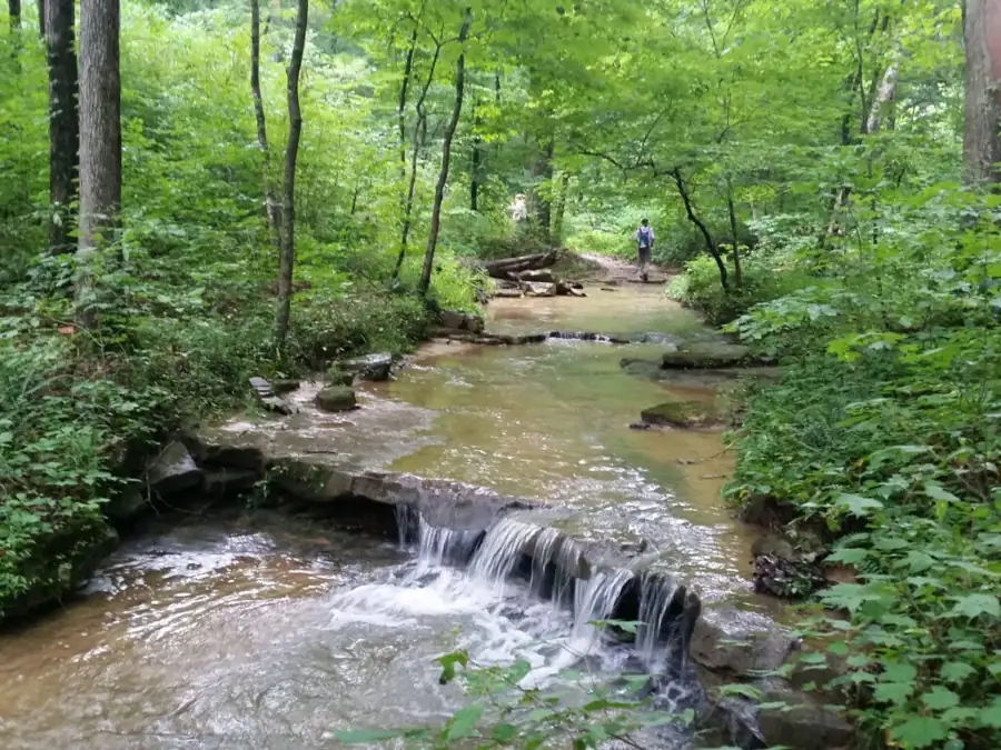 Clifty Falls State Park – Indiana