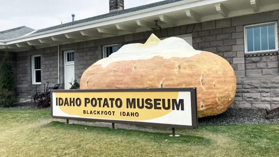 IDAHO ACTIVITIES
