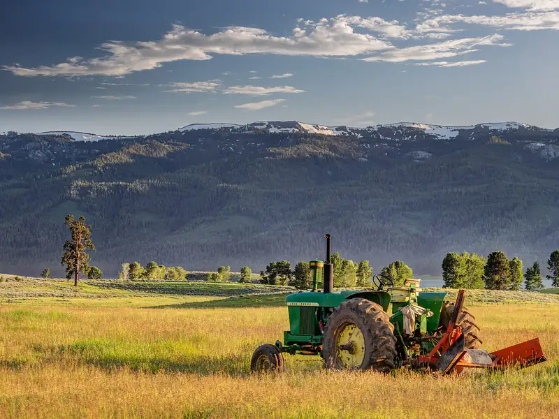 IDAHO ACTIVITIES