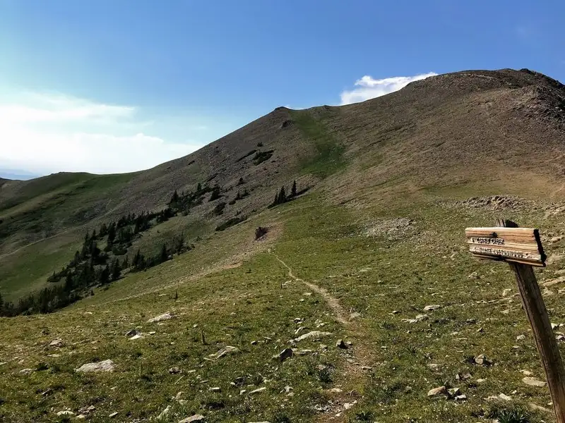 IDAHO ACTIVITIES