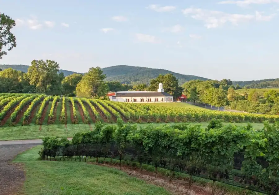 Witness the captivating beauty of the Blue Ridge Mountains – Virginia