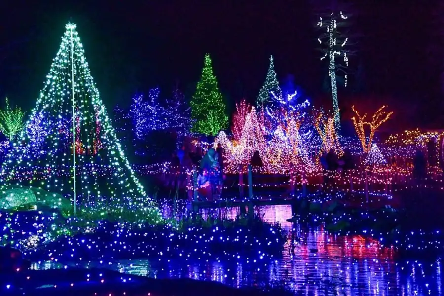 Festival of Lights at Boothbay Harbor
