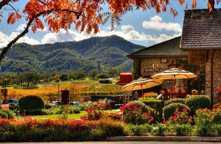 The best wineries in California