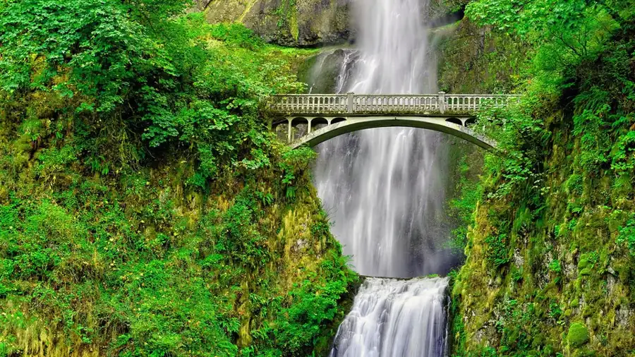 OREGON ACTIVITIES