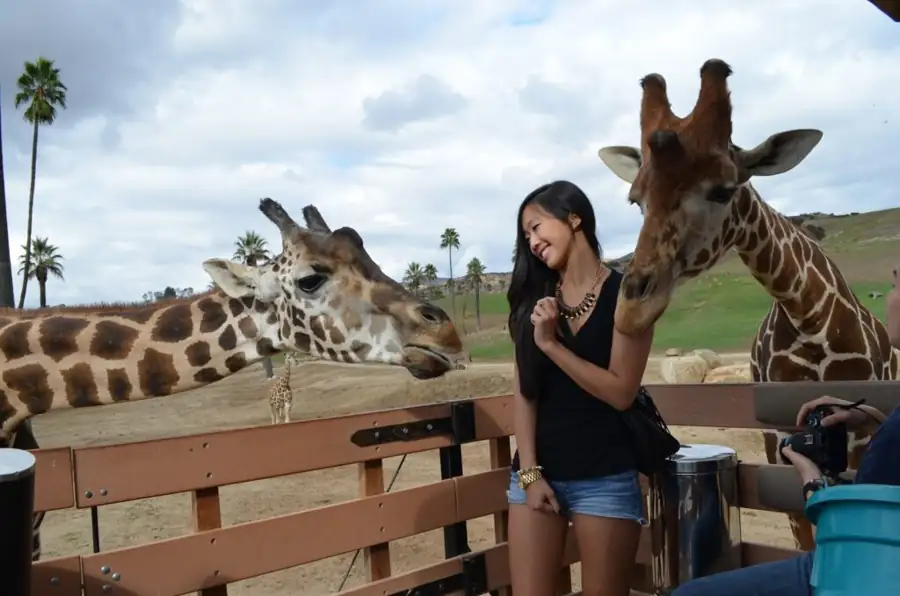 kids' friendly activities in California