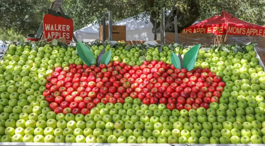 California Gravenstein Apple Fair Awaits