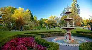 Tourist Activities in New York