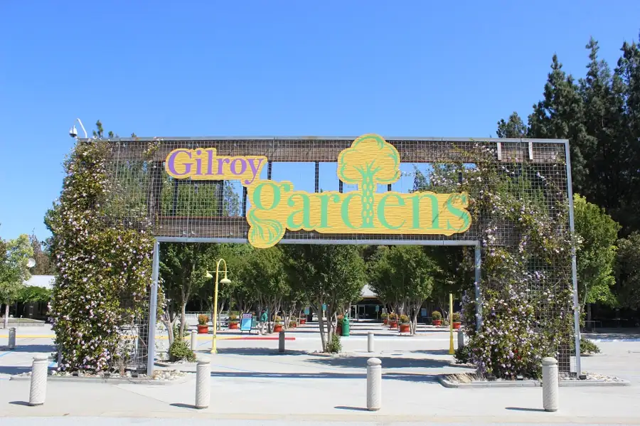 The Craziest Trees You’ve Ever Seen – Gilroy Gardens – California