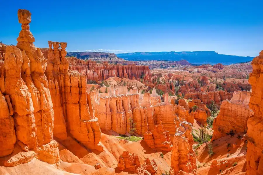 UTAH ACTIVITIES