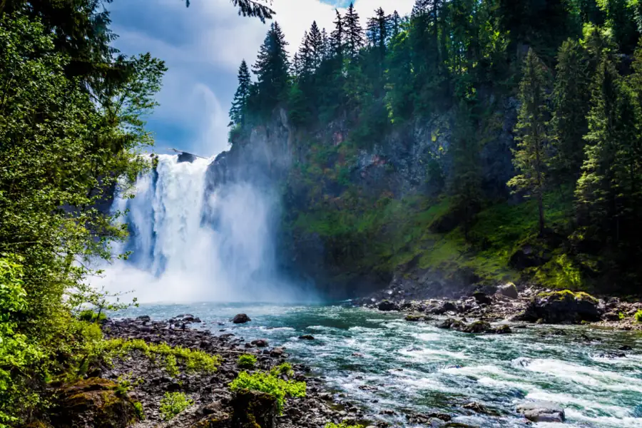 WASHINGTON ACTIVITIES
