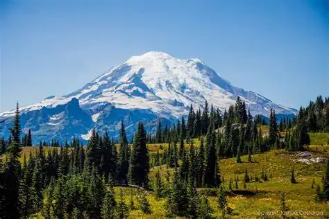 WASHINGTON ACTIVITIES