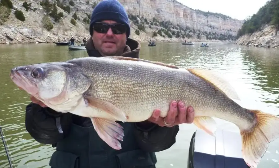 Wyoming Activities