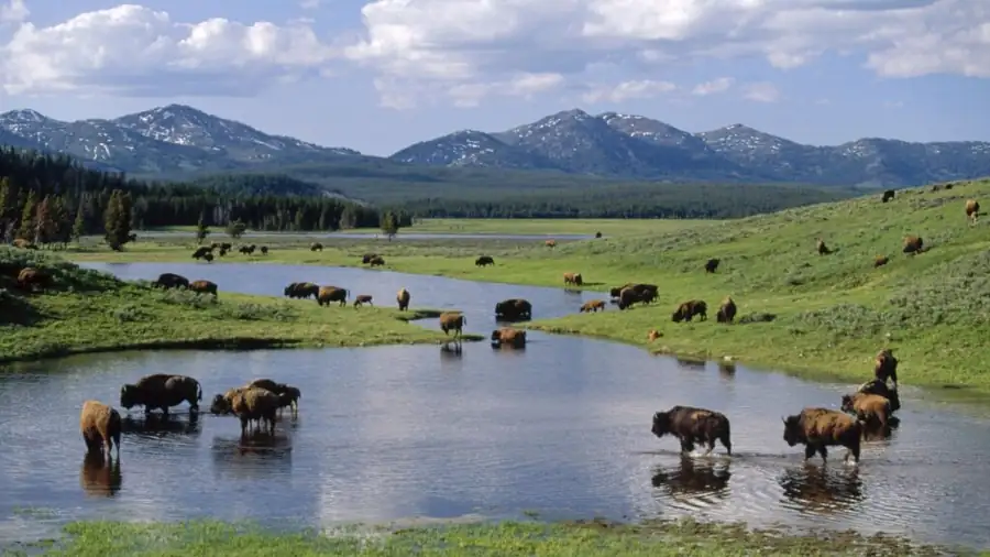 Wyoming Activities