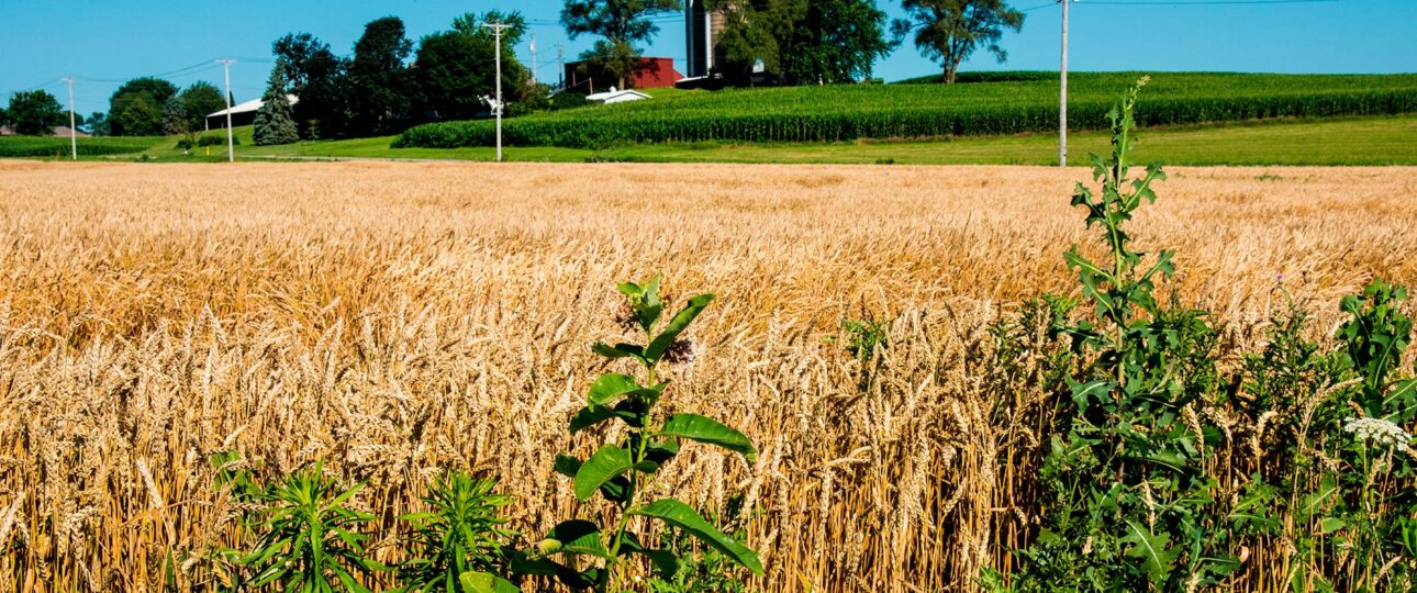 Wisconsin localitytravel