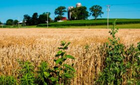 Wisconsin localitytravel