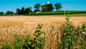 Wisconsin localitytravel