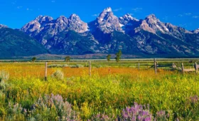 Wyoming localitytravel