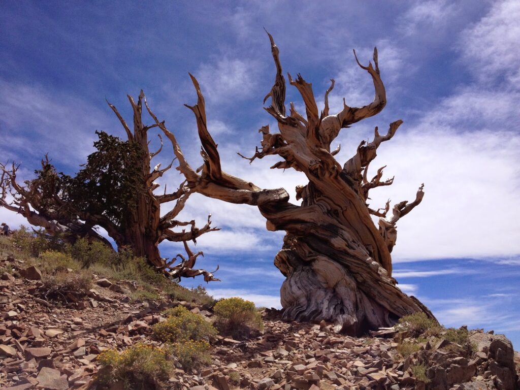 Nevada 8 localitytravel nev7 localitytravel