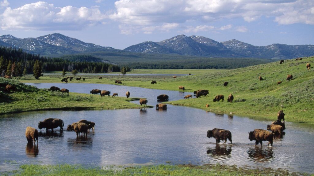 Wyoming 17 localitytravel wo 16 localitytravel