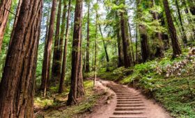 hiking trail localitytravel