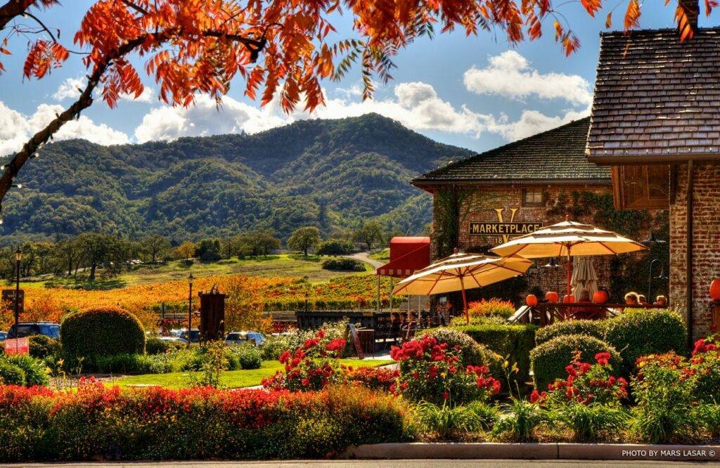 The best wineries in California 5 localitytravel The best wineries in California